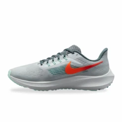 Nike Pegasus 39