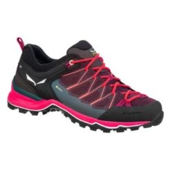 Salewa MTN Trainer Lite Goretex