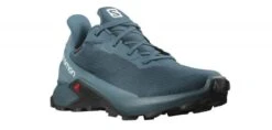 Salomon Alphacross 3 GTX