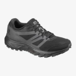 Salomon Trailster 2